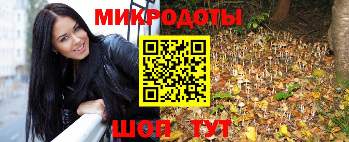 Галлюциногенные грибы Cubensis Южно-Сахалинск