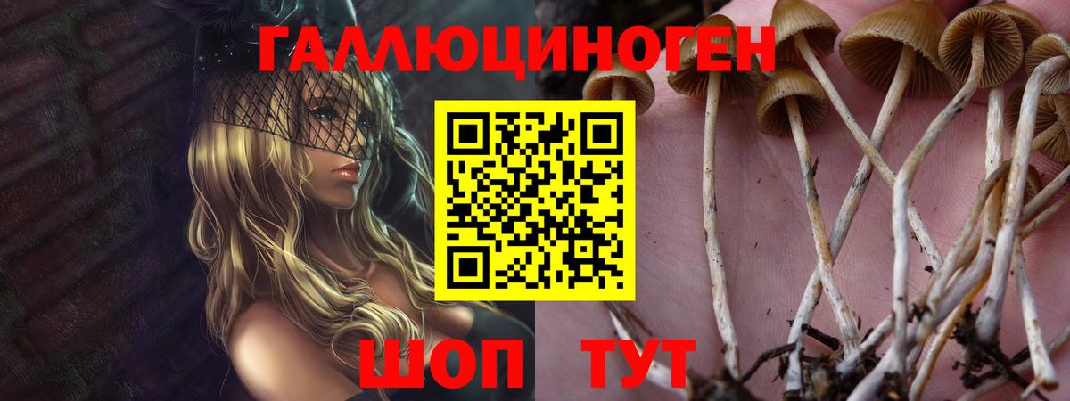 Южно-Сахалинск  Галлюциногенные грибы Psilocybe  Вход с VPN  Псилоцибиновые грибы мицелий 